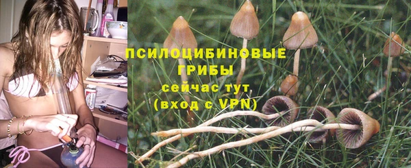 MESCALINE Аркадак