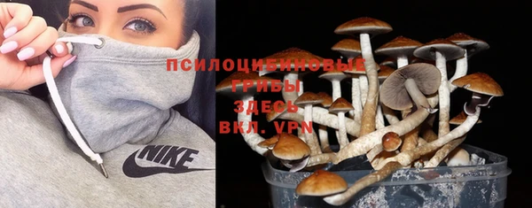 MDMA Premium VHQ Беломорск